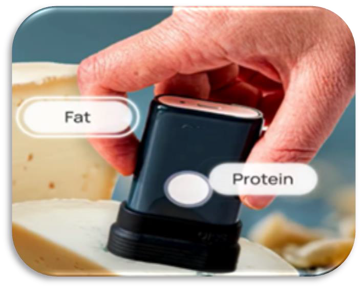 Fat and protein scan